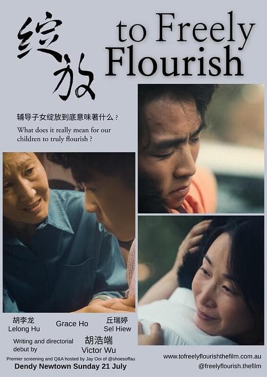 绽放