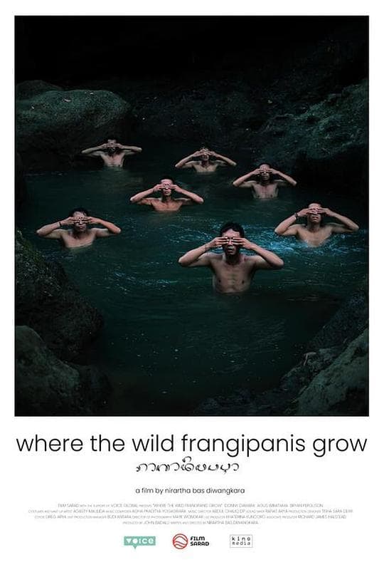 Where the Wild Frangipanis Grow