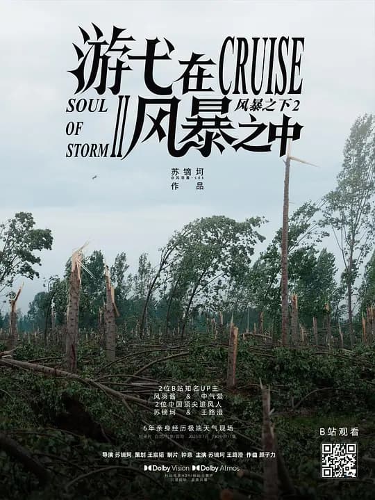 游弋在风暴之中