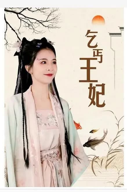 乞丐王妃