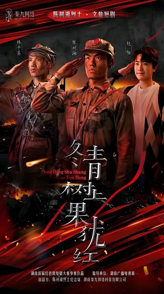 冬青树上果犹红