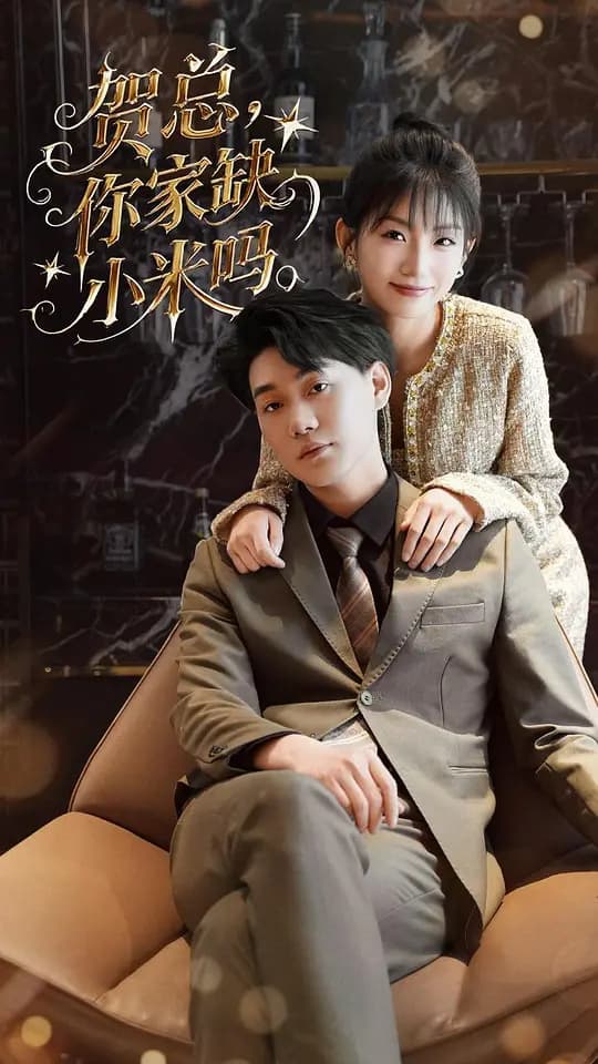 贺总，你家缺小米吗