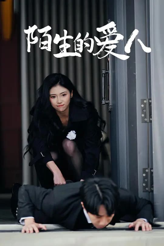 陌生的爱人
