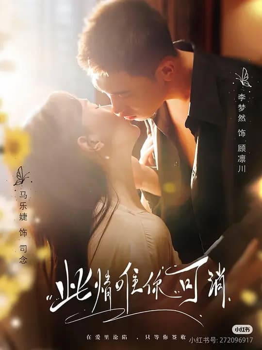 此情唯你可消