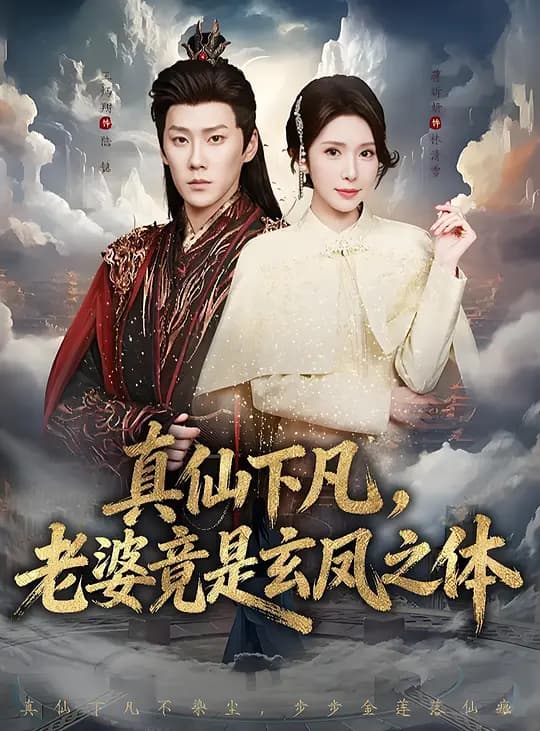 真仙下凡,老婆竟是玄凤之体