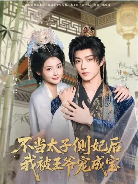 不当太子侧妃后,我被王爷宠成宝