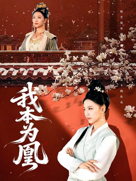 我本为凰