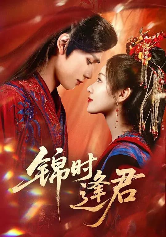 锦时逢君