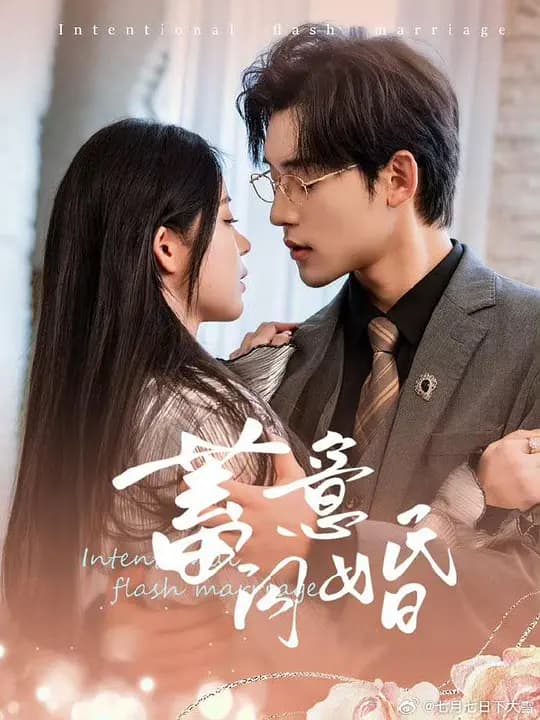 蓄意闪婚