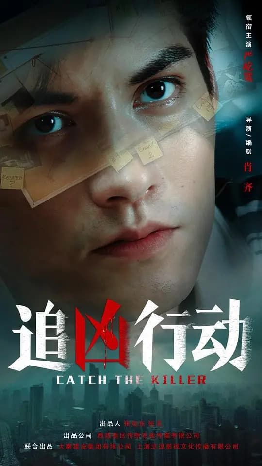追凶行动