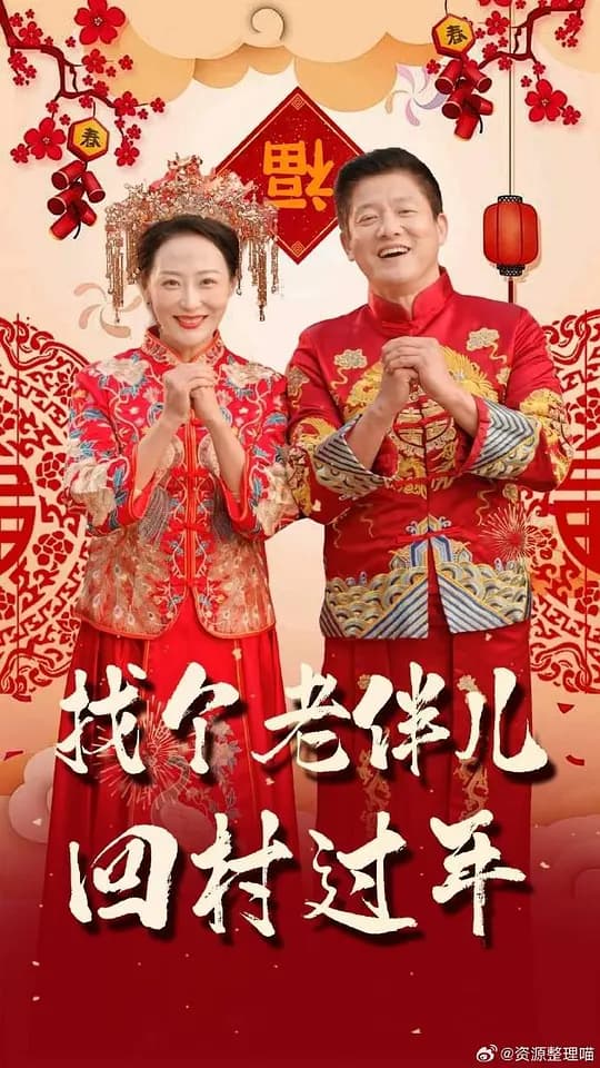 找个老伴儿回村过年