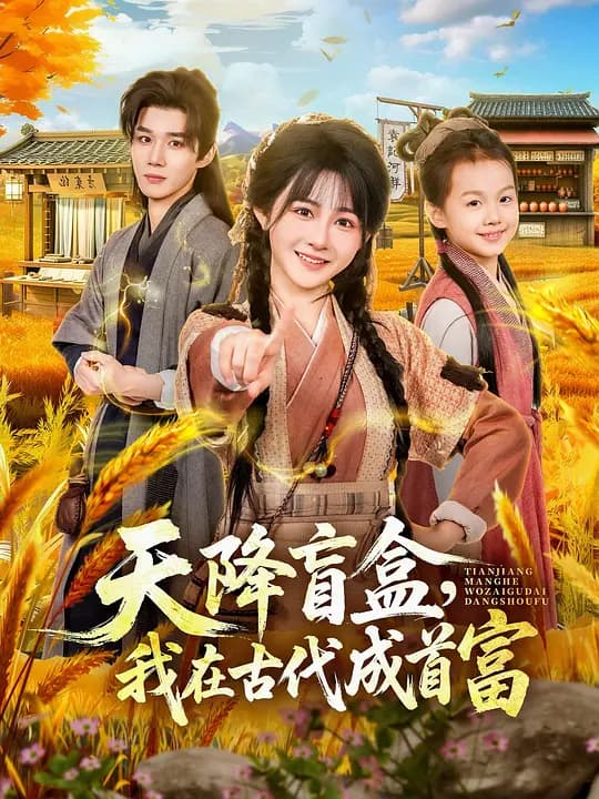 天降盲盒,我在古代成首富