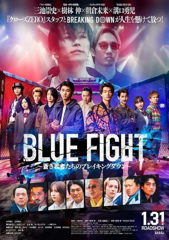 闪亮之拳