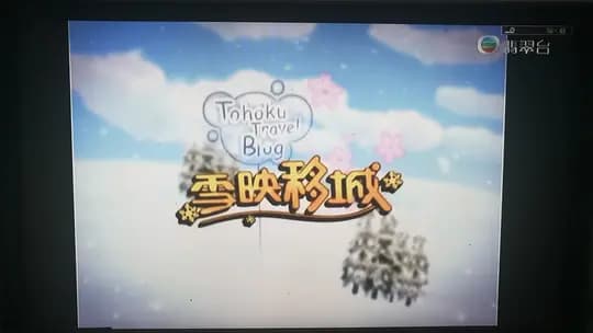 雪映移城