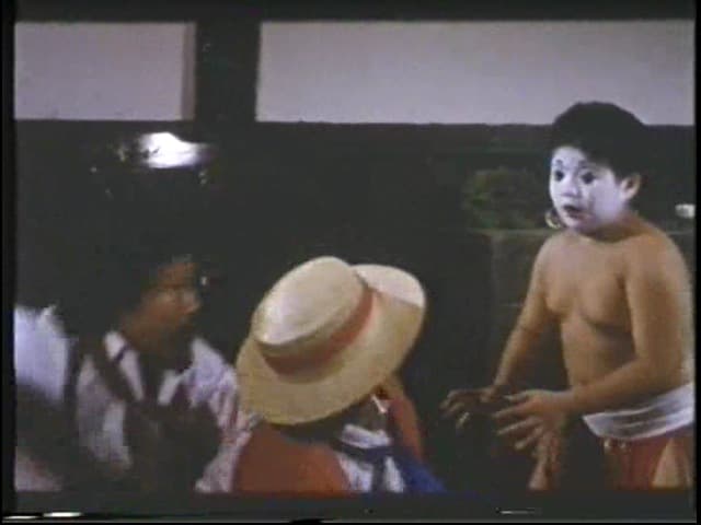 Kung Fu Kids Part V: The Adventure of Kung Fu Kids