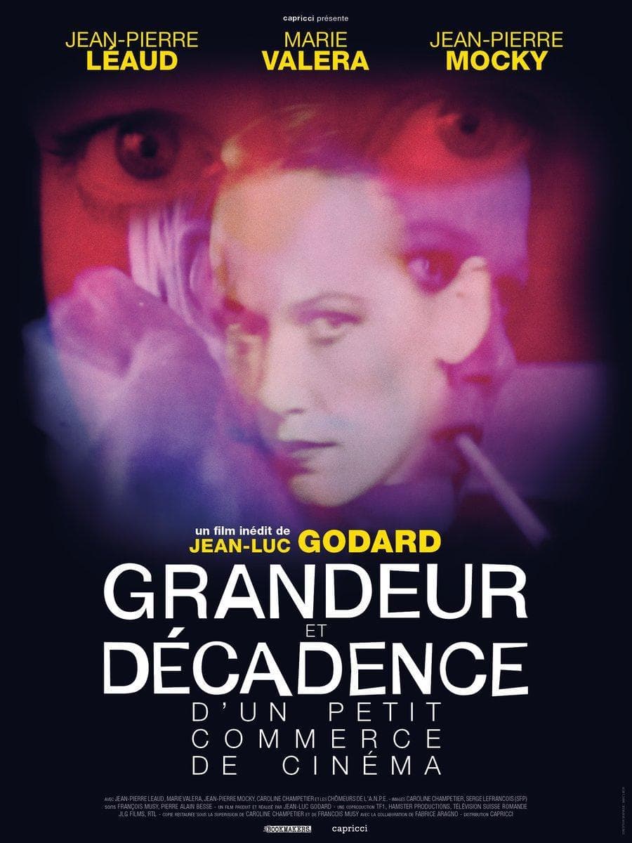 Grandeur et décadence d'un petit commerce de cinéma