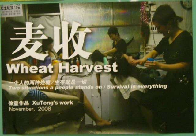 Wheat Harvest