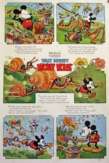 Mickey's Garden