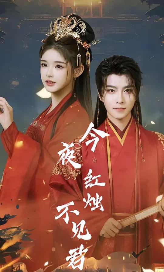 今夜红烛不见君